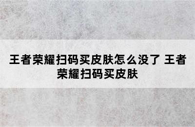 王者荣耀扫码买皮肤怎么没了 王者荣耀扫码买皮肤